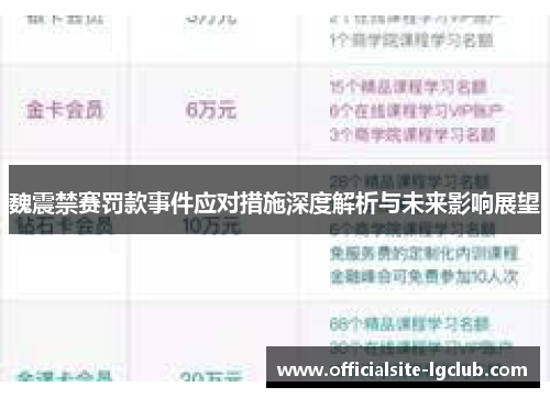 魏震禁赛罚款事件应对措施深度解析与未来影响展望